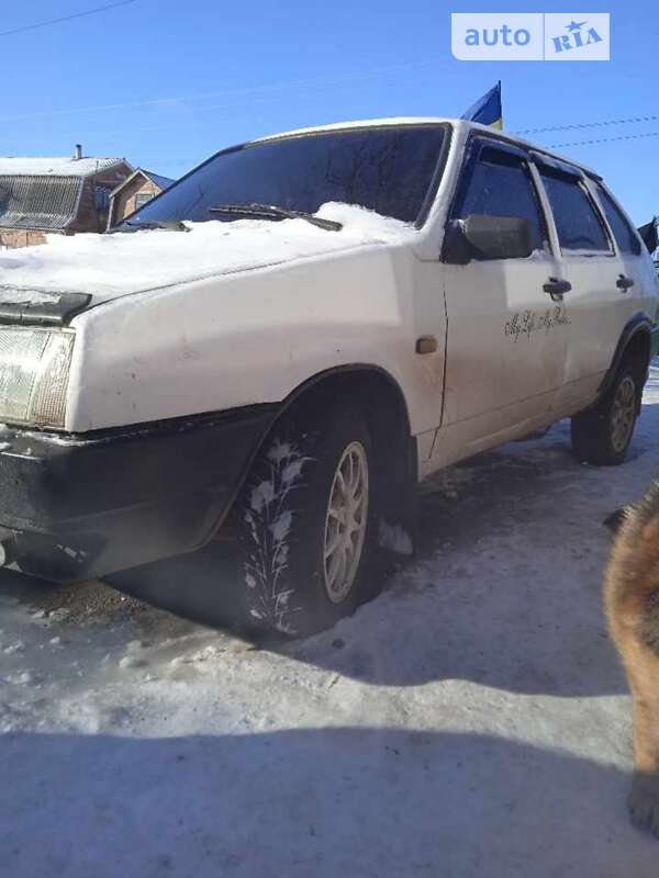 Хэтчбек ВАЗ / Lada 2109 1991 в Новоукраинке