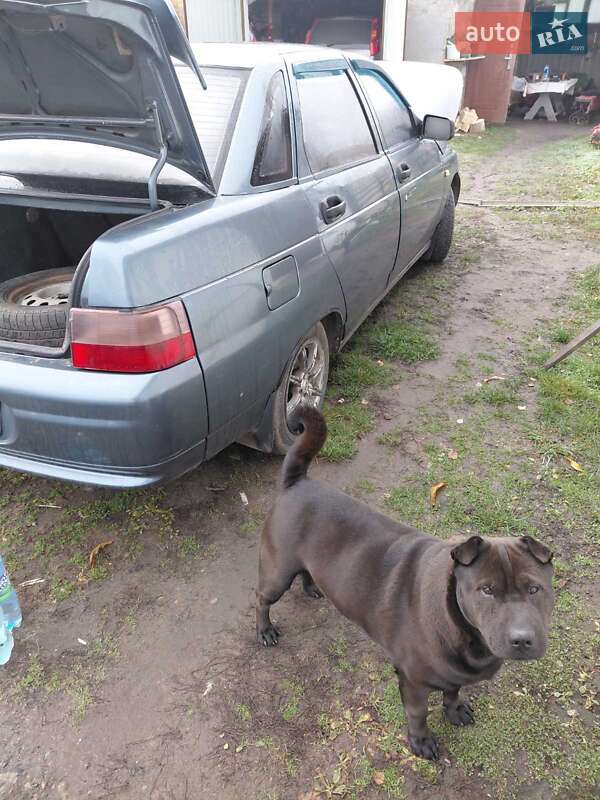 Седан ВАЗ / Lada 2110 2001 в Охтирці