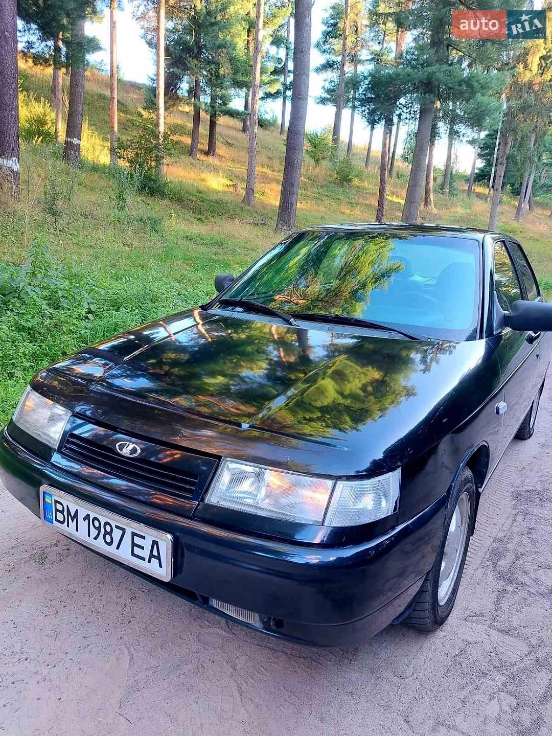 VAZ-Lada 2110 2006 VIN Y7C21101070061338 фото оголошення 7 з 20