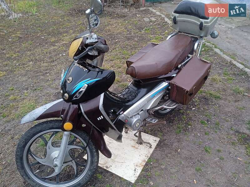 Viper Active 2008