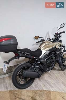 Мотоцикл Спорт-туризм Voge 300DS 2020 в Великой Багачке