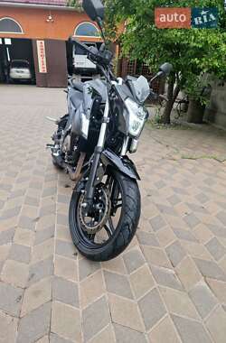 Мотоцикл Без обтікачів (Naked bike) Voge 300R 2023 в Ніжині