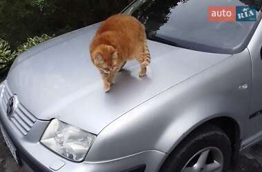 Седан Volkswagen Bora 2003 в Львове