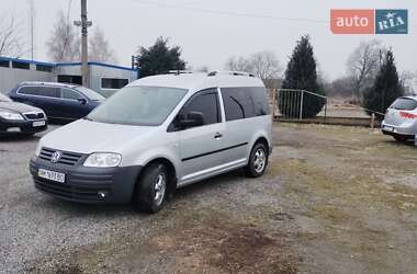 Мінівен Volkswagen Caddy 2008 в Бердичеві