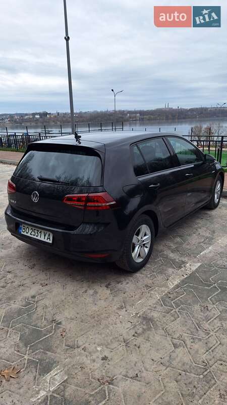 Хэтчбек Volkswagen e-Golf 2017 в Тернополе фото 19 Хэтчбек Volkswagen e-Golf 2017 в Тернополе