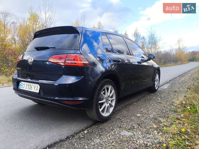 Хэтчбек Volkswagen e-Golf 2014 в Долине фото 8 Хэтчбек Volkswagen e-Golf 2014 в Долине