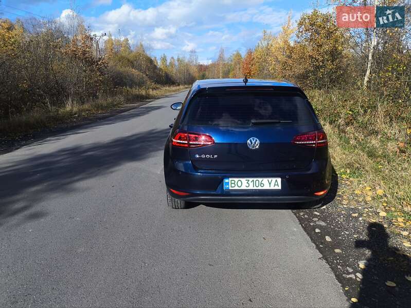 Хэтчбек Volkswagen e-Golf 2014 в Долине фото 17 Хэтчбек Volkswagen e-Golf 2014 в Долине