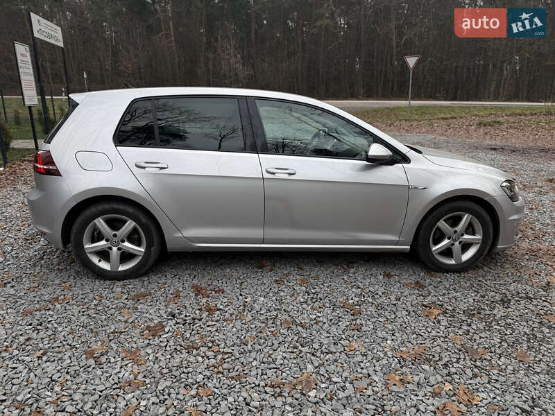 Хэтчбек Volkswagen e-Golf 2016 в Бродах фото 13 Хэтчбек Volkswagen e-Golf 2016 в Бродах