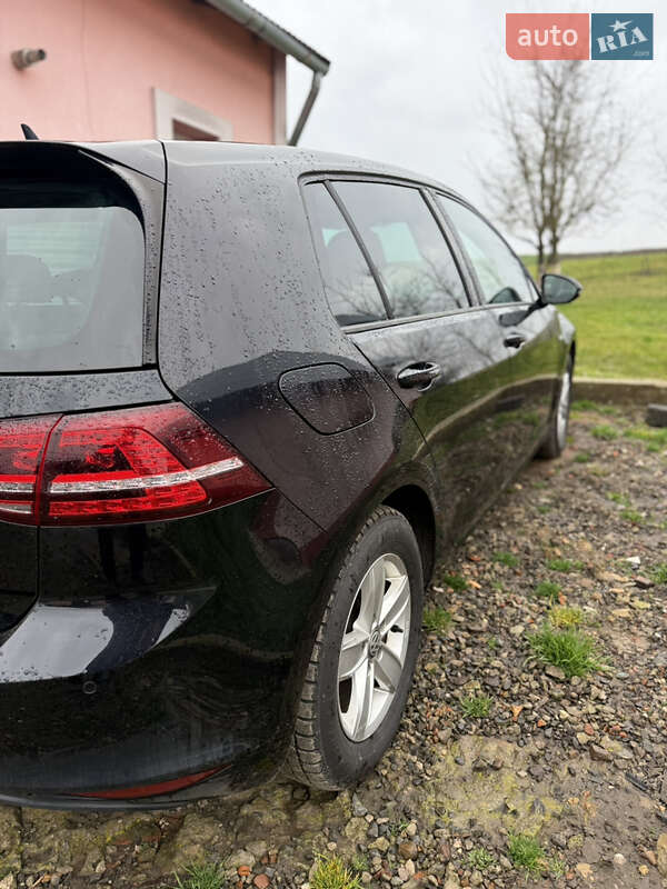 Хэтчбек Volkswagen e-Golf 2015 в Городке фото 6 Хэтчбек Volkswagen e-Golf 2015 в Городке