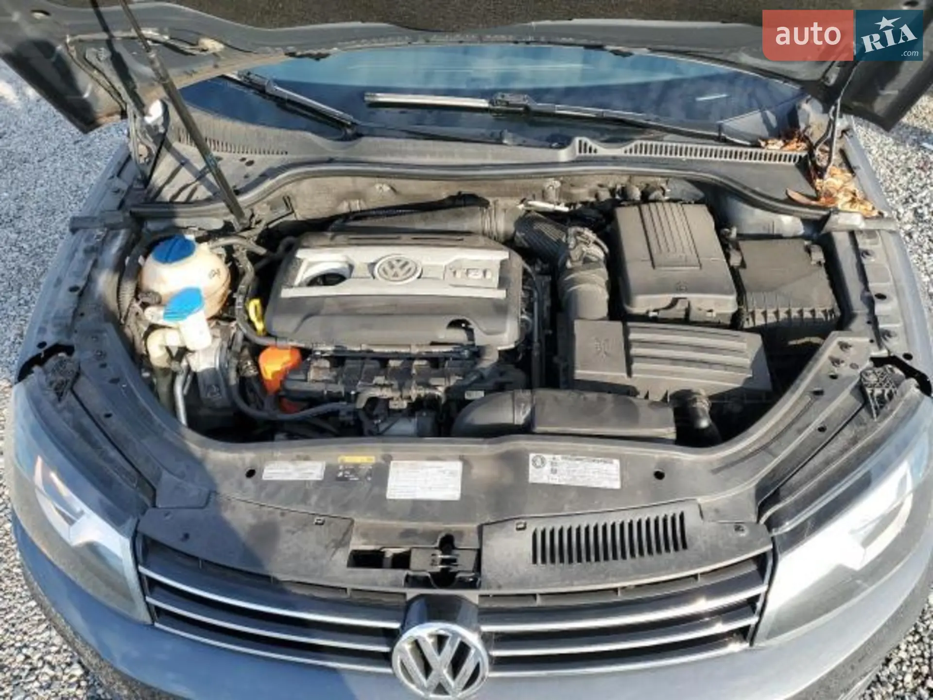 2014 Volkswagen Eos - мініатюра 13