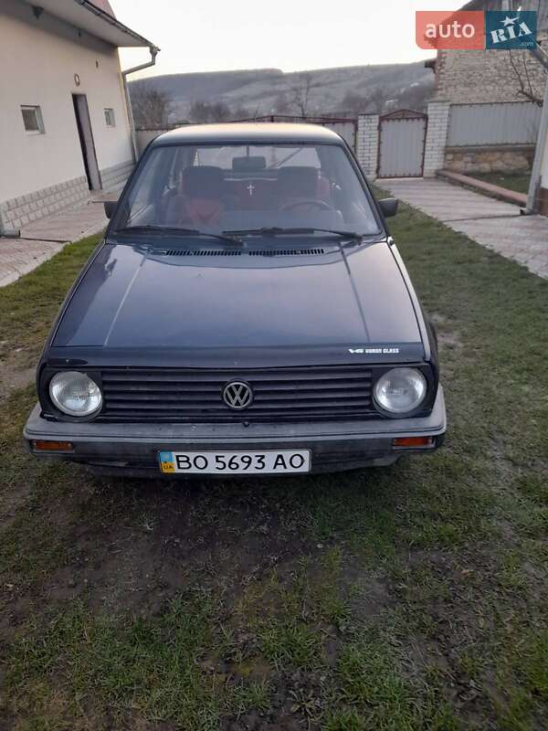 Хэтчбек Volkswagen Golf 1987 в Бережанах