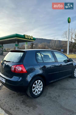 Хетчбек Volkswagen Golf 2004 в Сколе