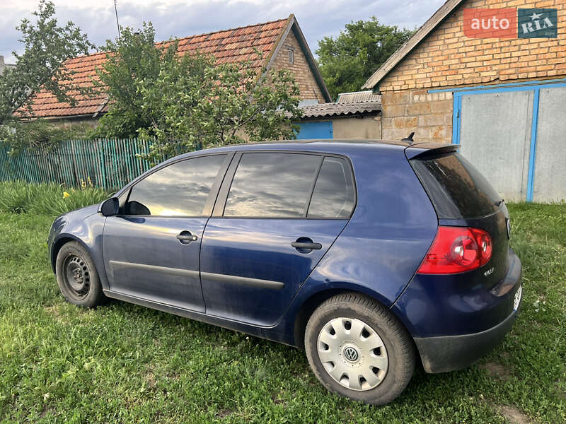 Хетчбек Volkswagen Golf 2004 в Васильківці
