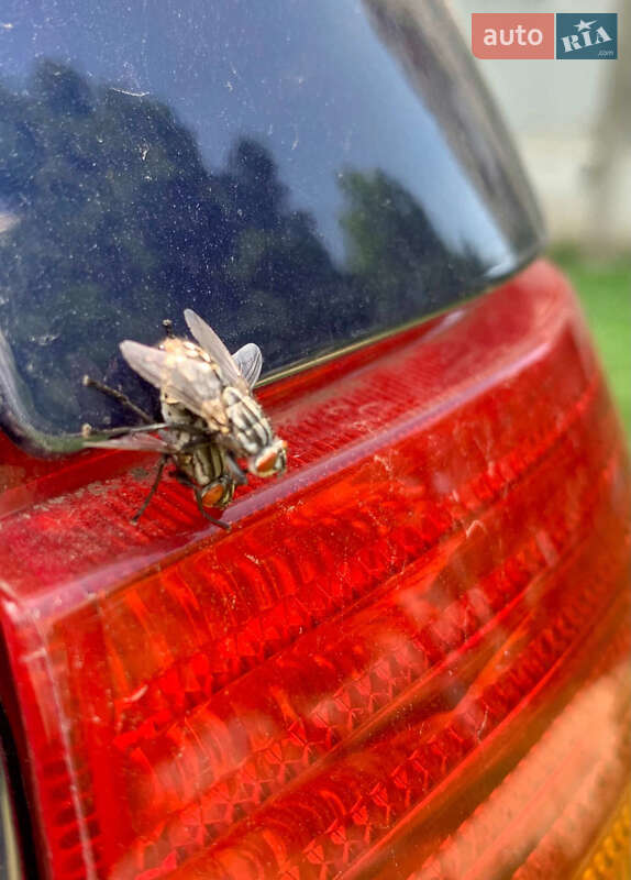 Хетчбек Volkswagen Golf 2003 в Роздільній