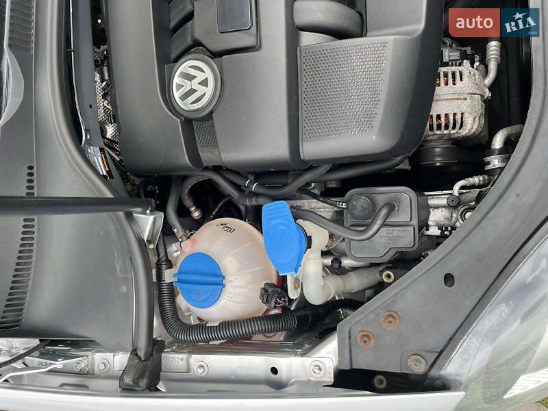 Хэтчбек Volkswagen Golf 2004 в Звягеле