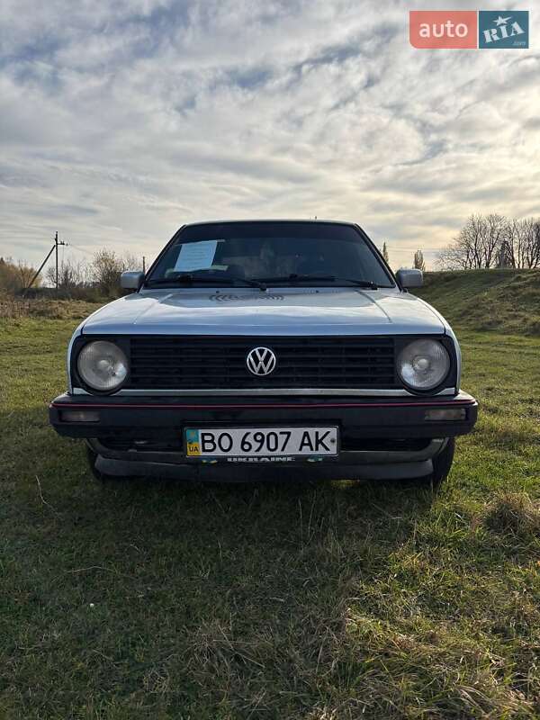 Хэтчбек Volkswagen Golf 1988 в Теофиполе