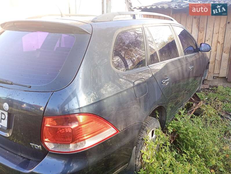 Универсал Volkswagen Golf 2008 в Звягеле