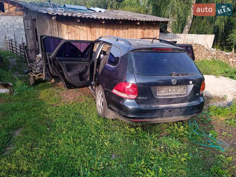Универсал Volkswagen Golf 2008 в Звягеле
