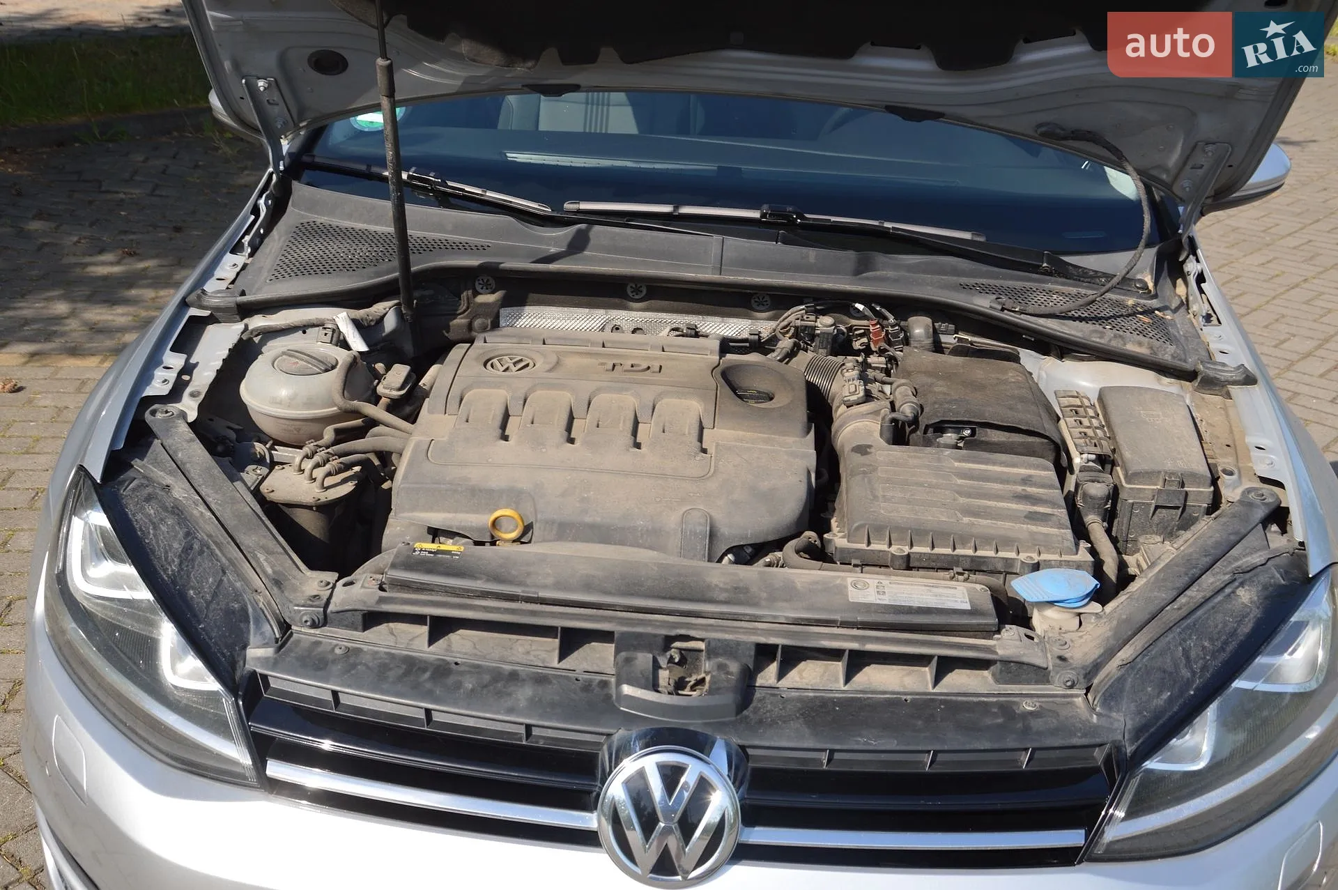 Volkswagen Golf 2016 VIN WVWZZZAUZHP552213 фото оголошення 31 з 32