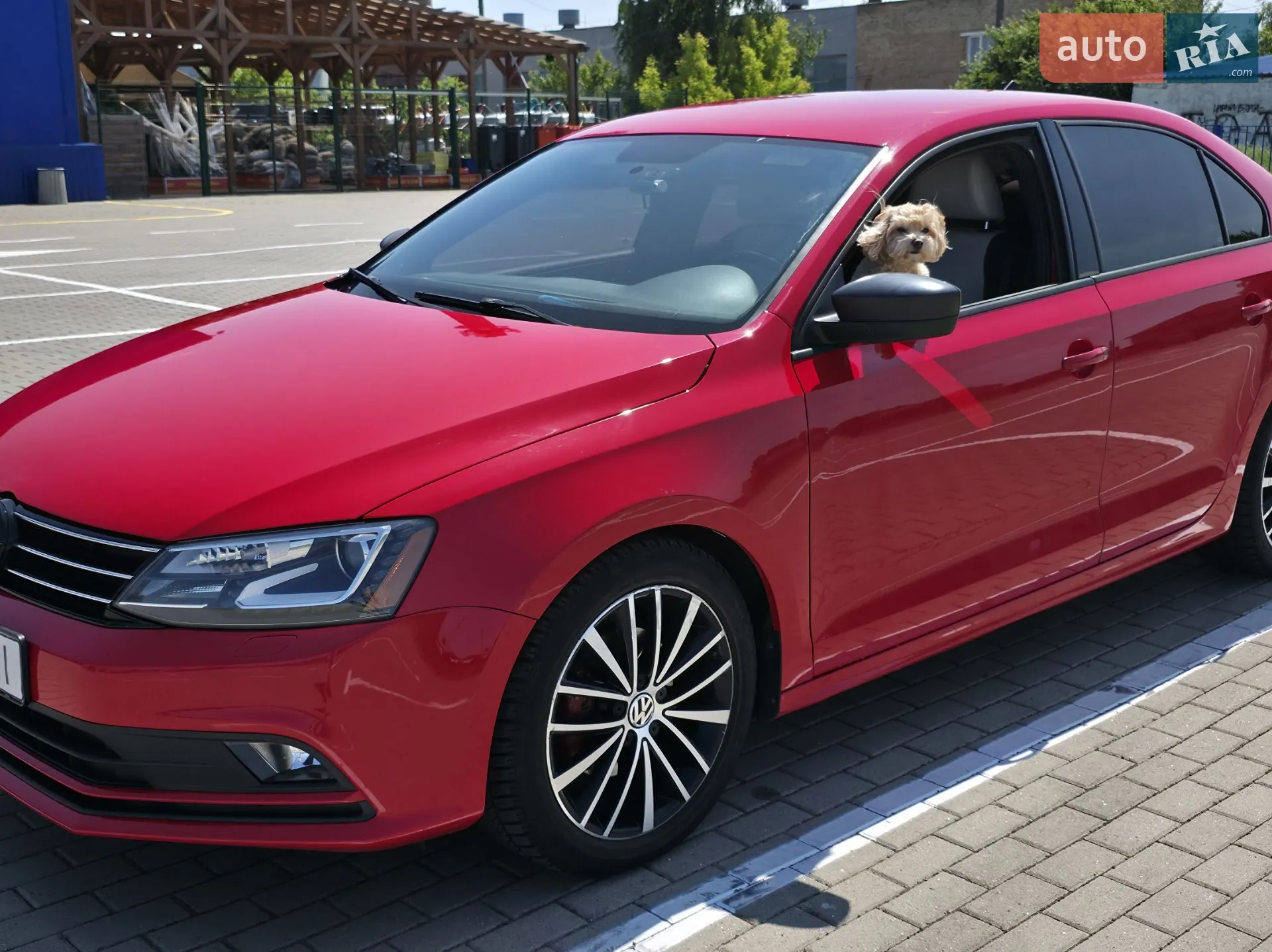2015 Volkswagen Jetta - мініатюра 16
