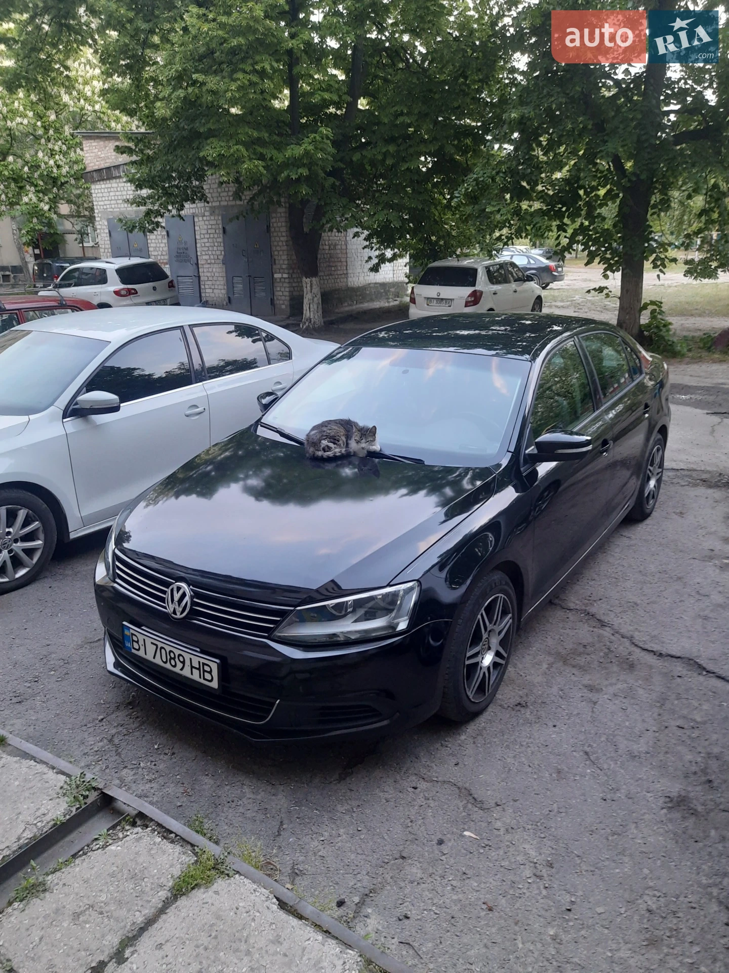 2011 Volkswagen Jetta - фото 1