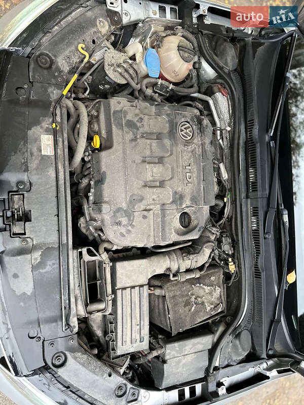 Седан Volkswagen Jetta 2015 в Белой Церкви фото 49 Седан Volkswagen Jetta 2015 в Белой Церкви