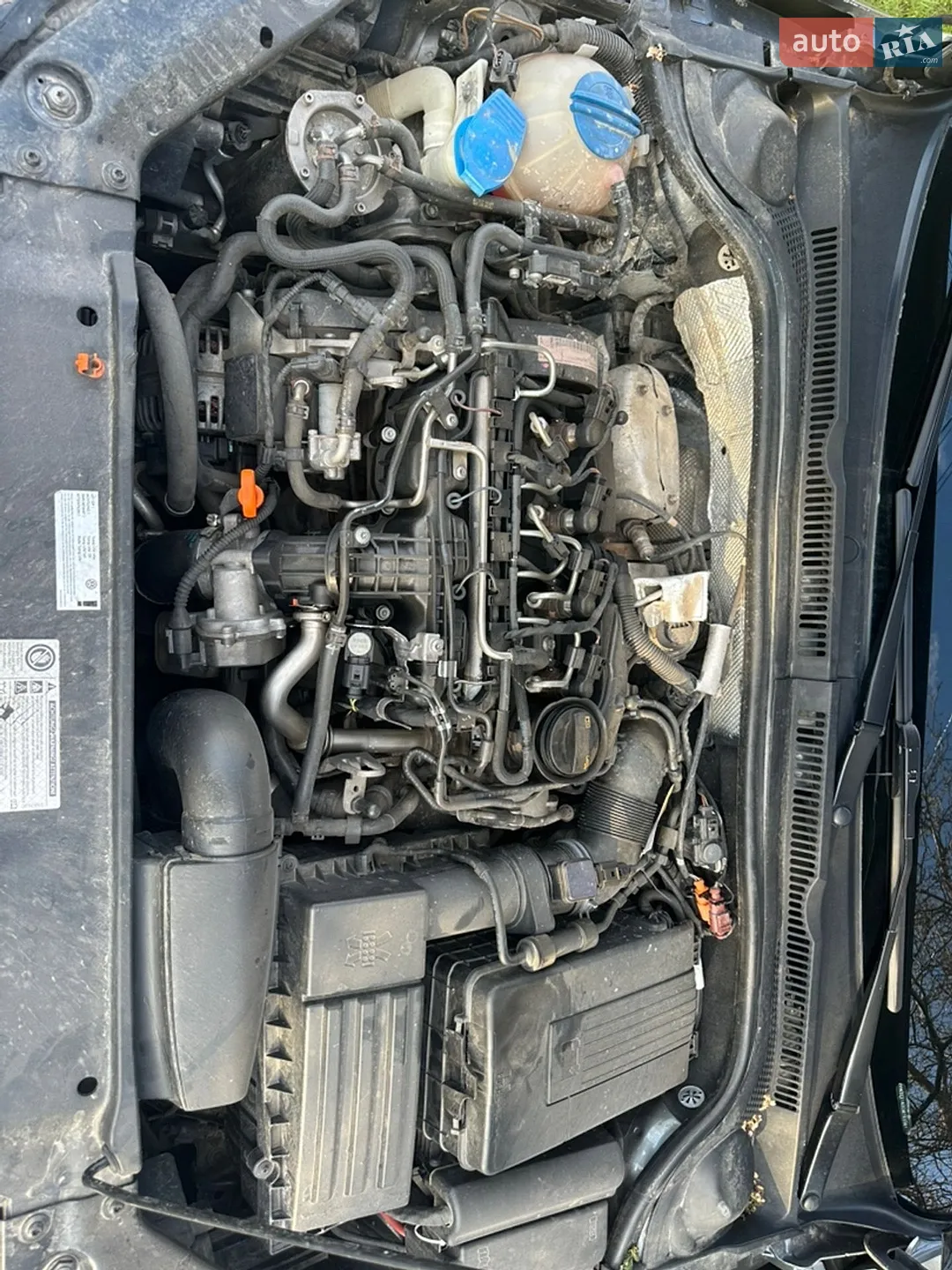 2012 Volkswagen Jetta - мініатюра 11