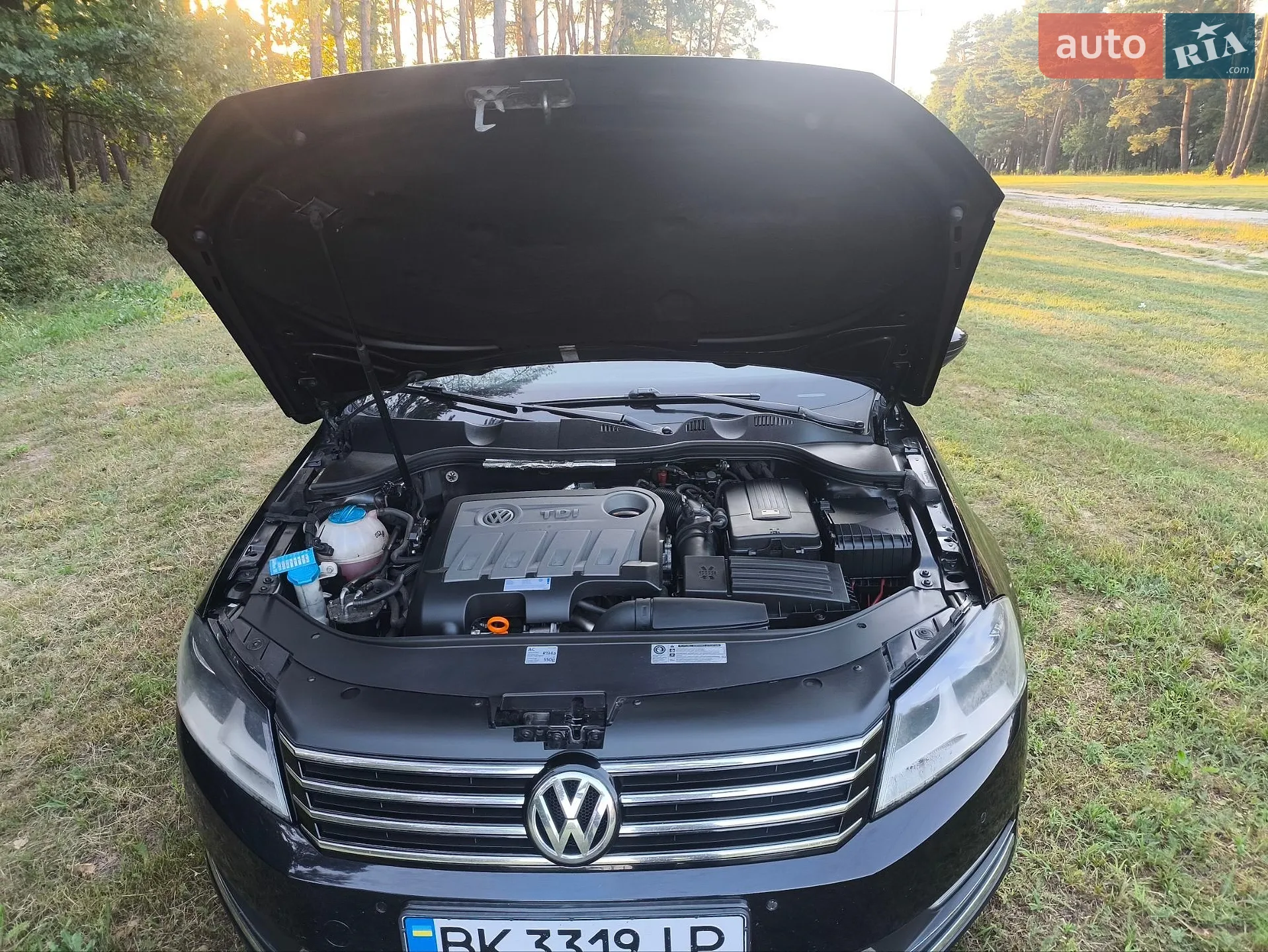 2012 Volkswagen Passat - мініатюра 25