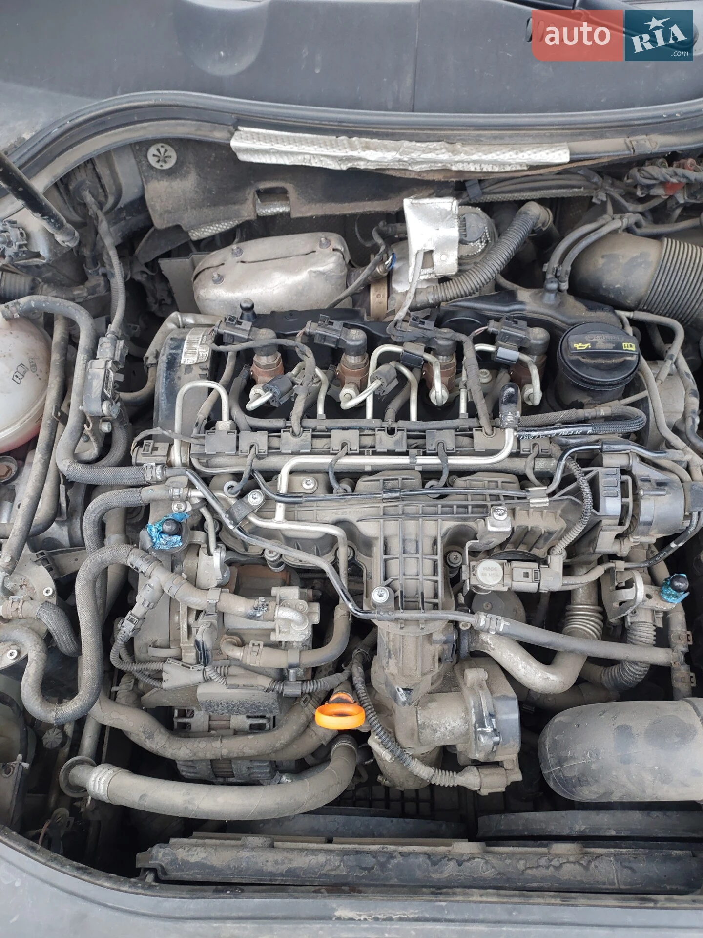 2010 Volkswagen Passat - мініатюра 5