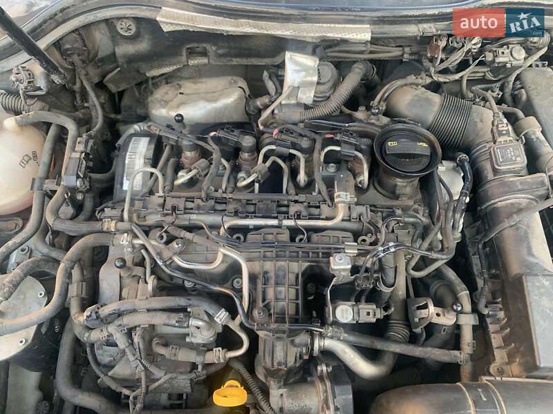 Універсал Volkswagen Passat 2014 в Березному