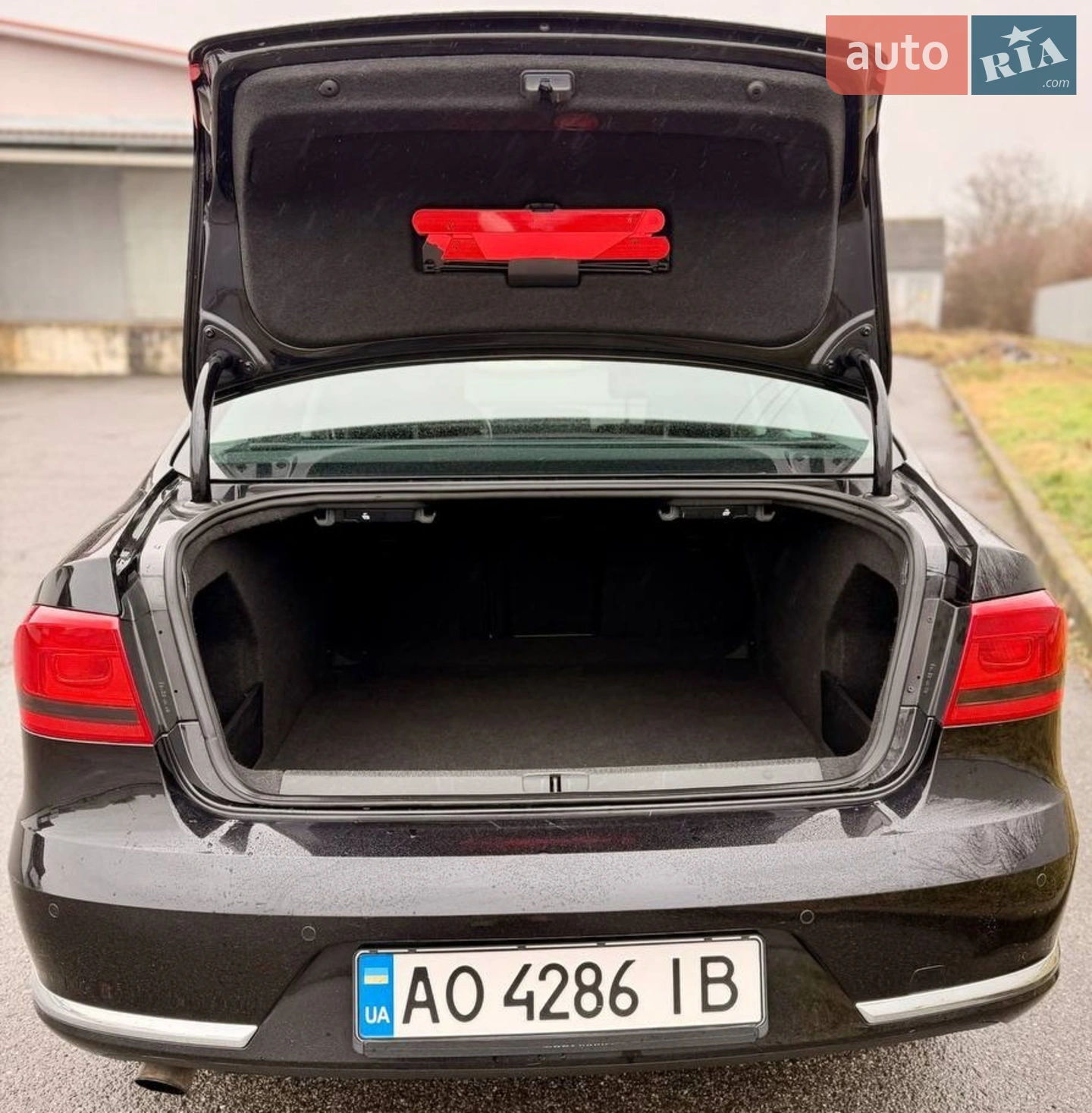 2010 Volkswagen Passat - мініатюра 6