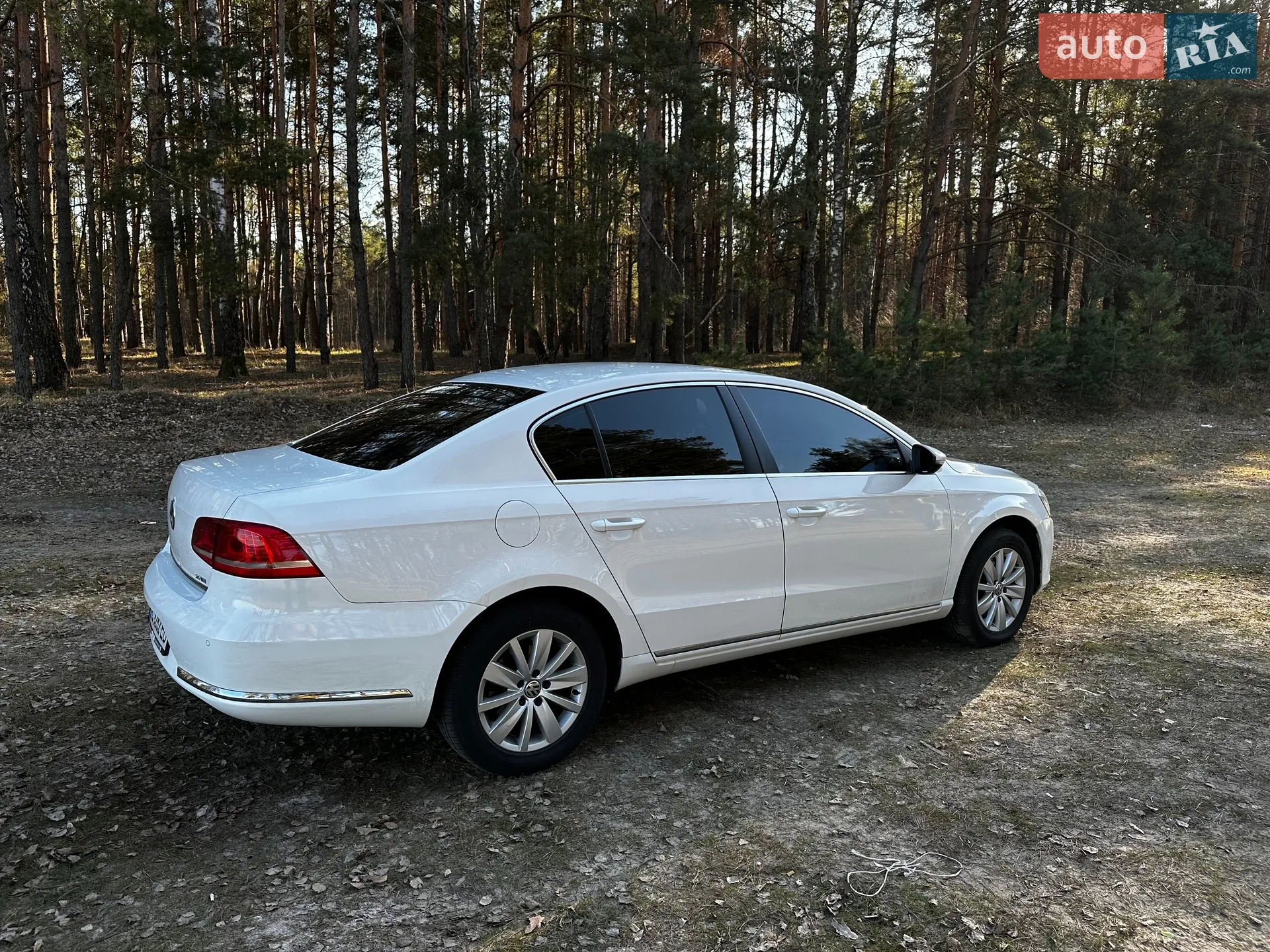 2013 Volkswagen Passat - мініатюра 2