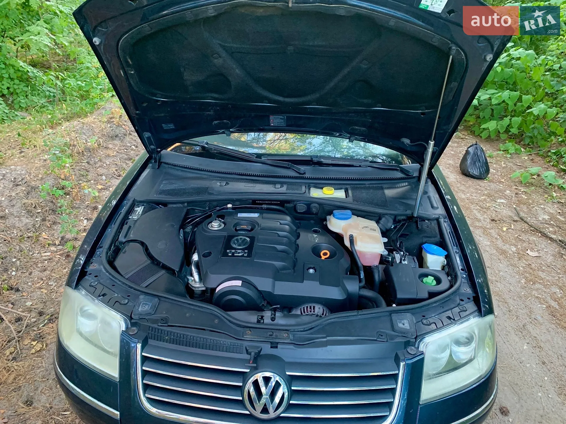 Volkswagen Passat 2003 VIN WVWZZZ3BZ4E183904 фото оголошення 5 з 21