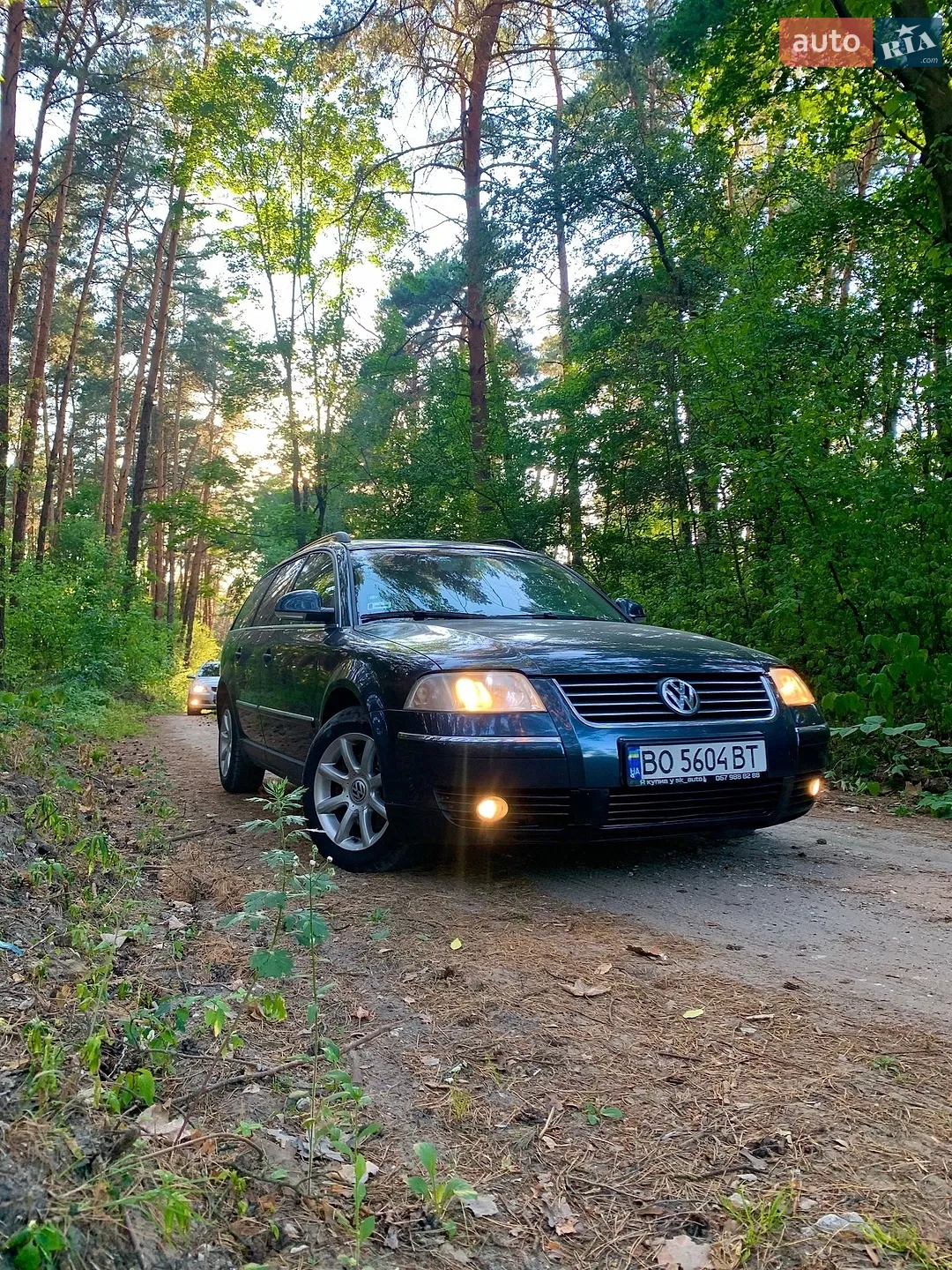 Volkswagen Passat 2003 VIN WVWZZZ3BZ4E183904 фото оголошення 19 з 21