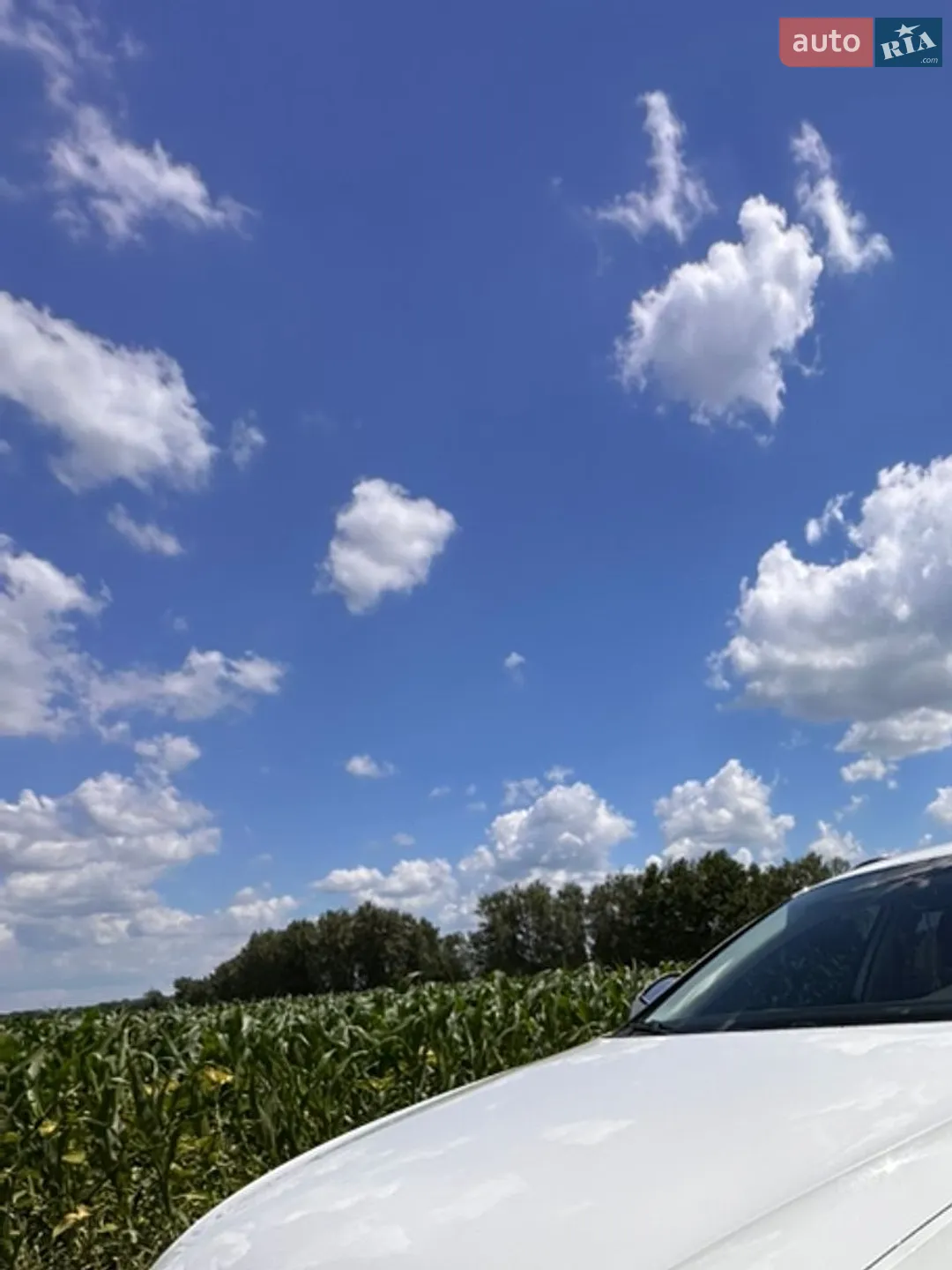 Volkswagen Passat 2019 VIN WVWZZZ3CZKE202281 фото оголошення 5 з 13