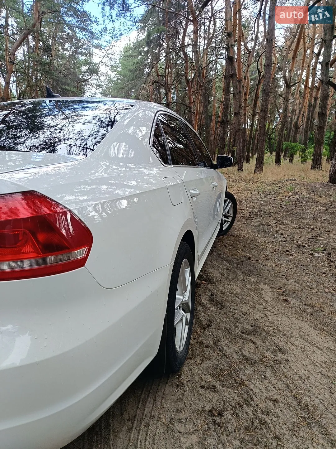 2013 Volkswagen Passat - мініатюра 3
