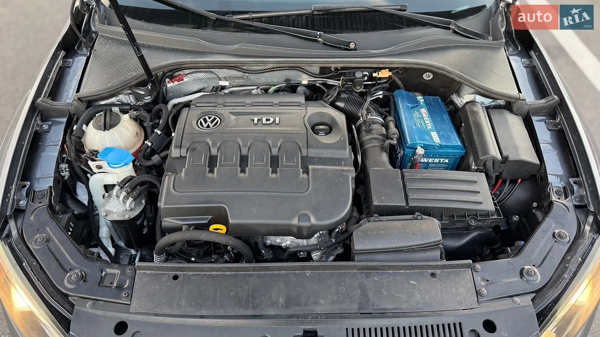 2015 Volkswagen Passat - мініатюра 8