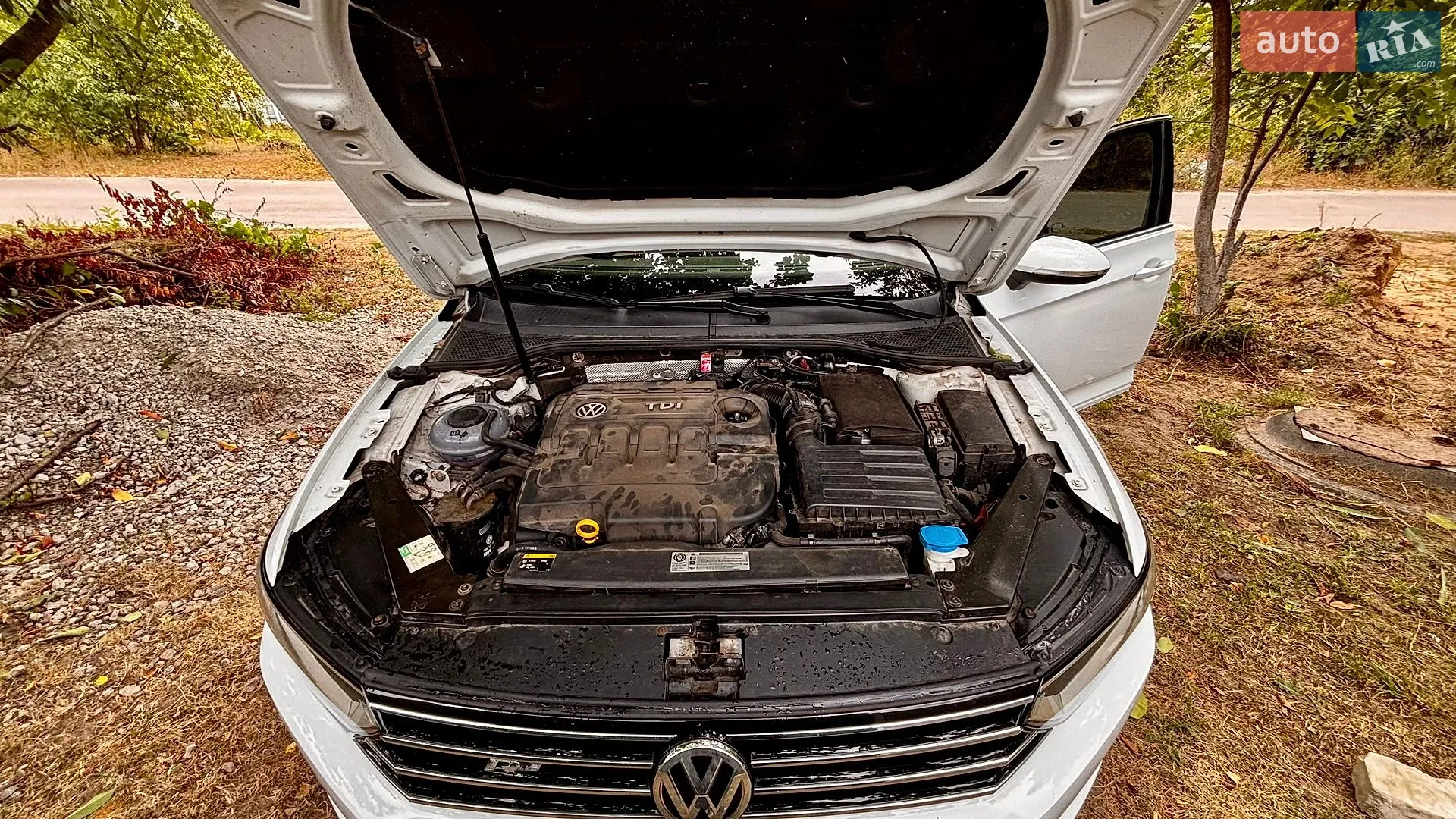 2015 Volkswagen Passat - мініатюра 14