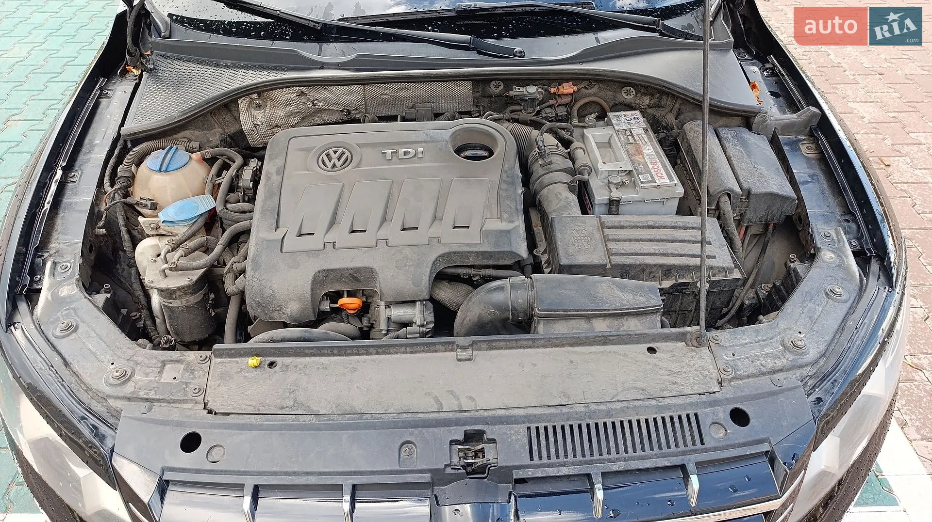 2012 Volkswagen Passat - мініатюра 22