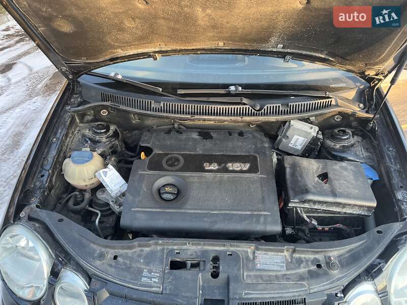 Хетчбек Volkswagen Polo 2003 в Турійську