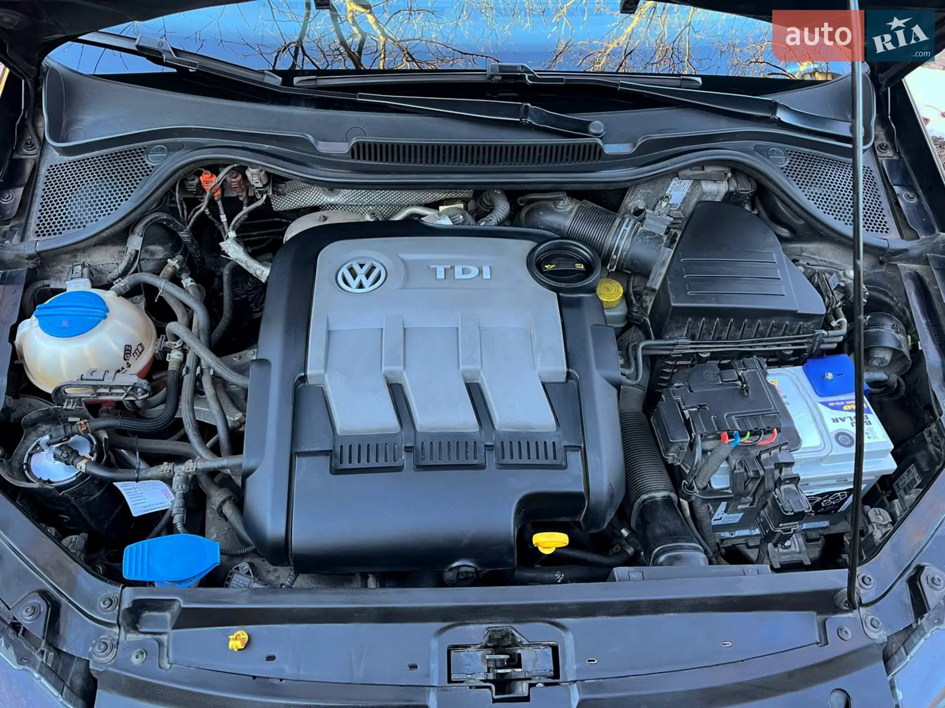 2013 Volkswagen Polo - мініатюра 16