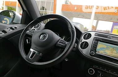 Позашляховик / Кросовер Volkswagen Tiguan 2013 в Чернівцях