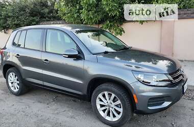 Внедорожник / Кроссовер Volkswagen Tiguan 2013 в Киеве