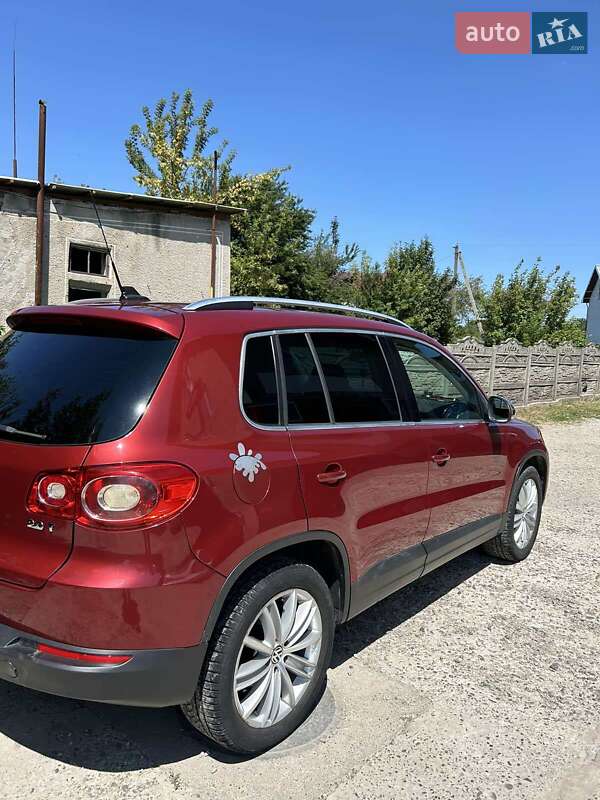 Внедорожник / Кроссовер Volkswagen Tiguan 2011 в Городенке фото 3 Внедорожник / Кроссовер Volkswagen Tiguan 2011 в Городенке