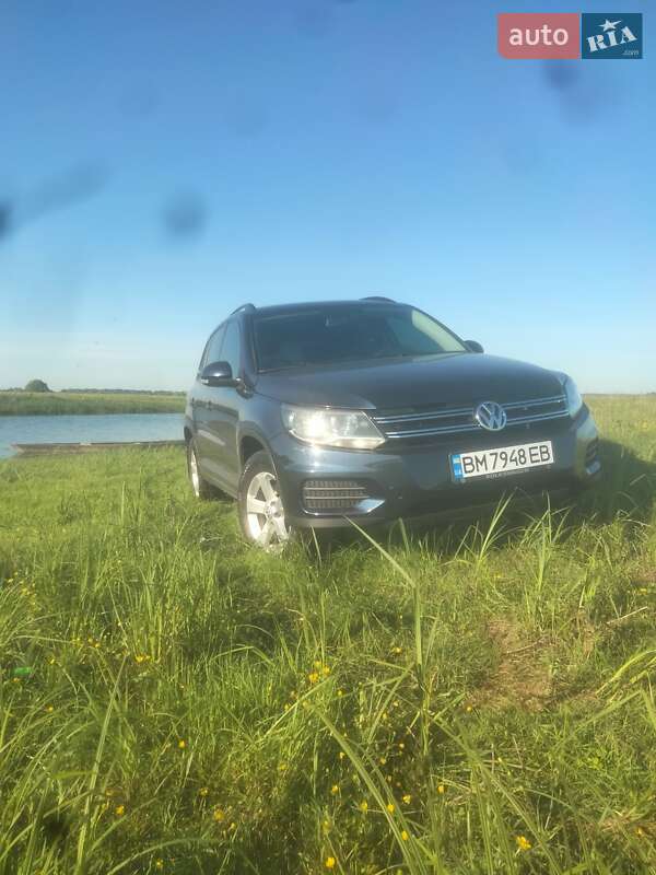 Внедорожник / Кроссовер Volkswagen Tiguan 2014 в Шостке