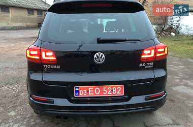 Позашляховик / Кросовер Volkswagen Tiguan 2013 в Житомирі