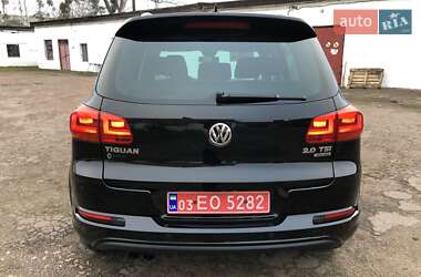 Позашляховик / Кросовер Volkswagen Tiguan 2013 в Житомирі