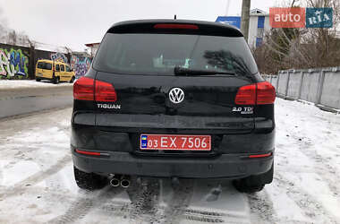 Внедорожник / Кроссовер Volkswagen Tiguan 2013 в Луцке