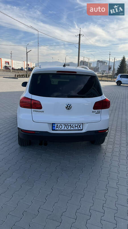 Внедорожник / Кроссовер Volkswagen Tiguan 2013 в Хусте