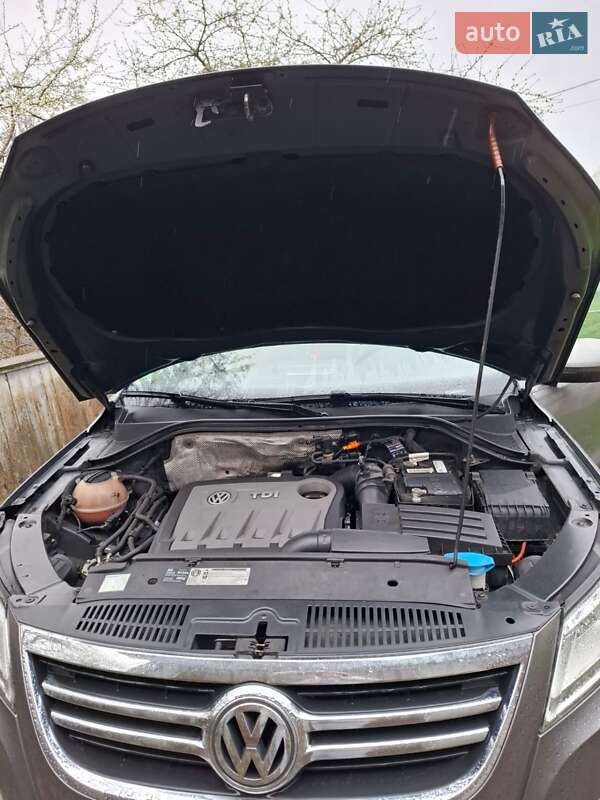 Позашляховик / Кросовер Volkswagen Tiguan 2010 в Снятині фото 6 Позашляховик / Кросовер Volkswagen Tiguan 2010 в Снятині